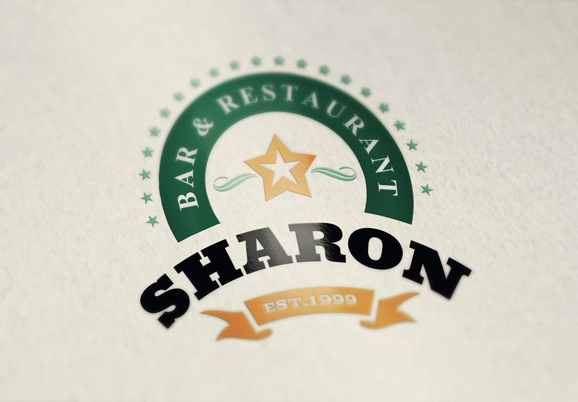 6 Photorealistic Logo Mock-ups