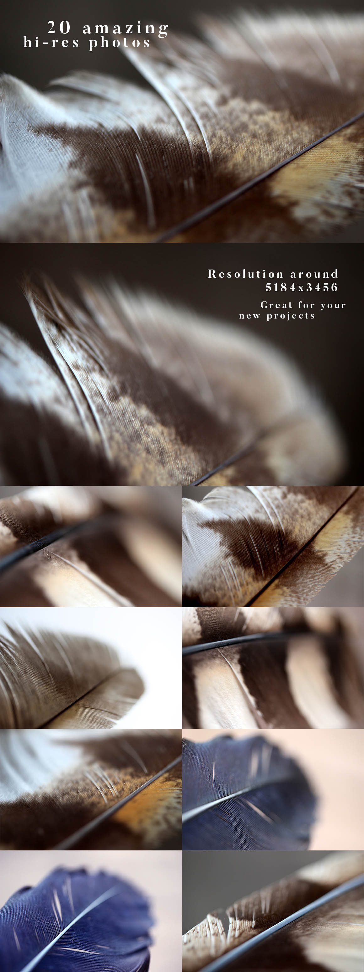 20 Feather Photos