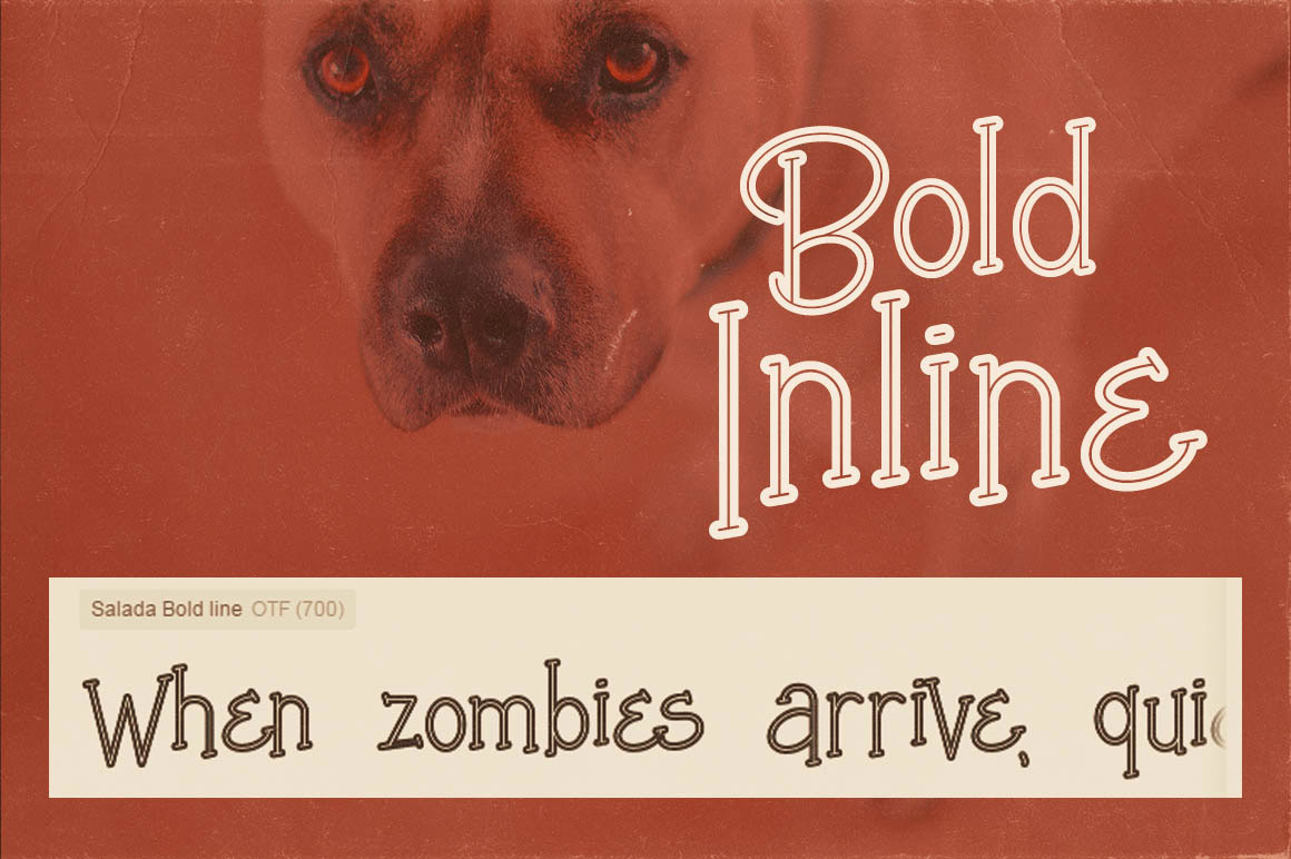 Salada Bold Inline Font