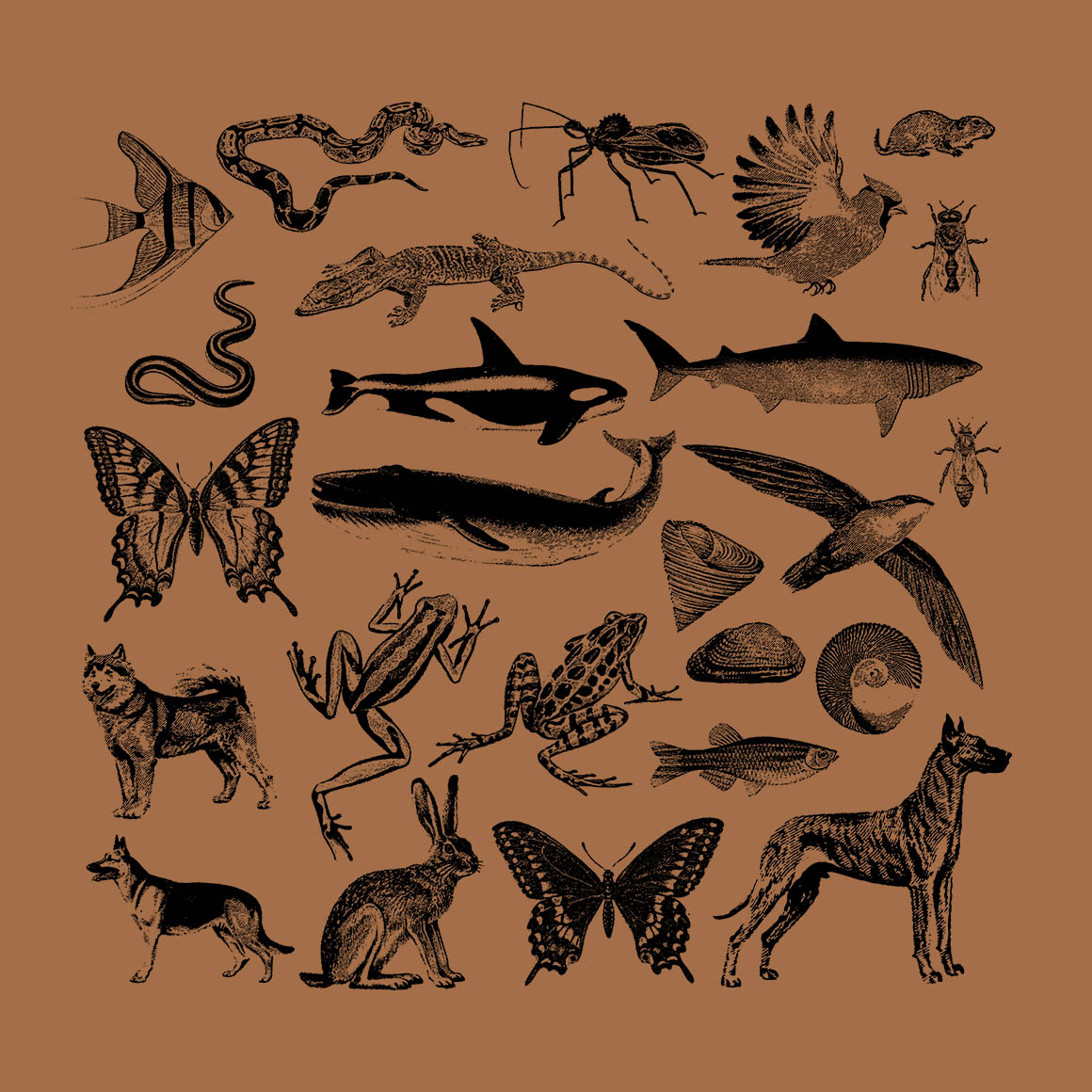 25 Vintage Vector Animals