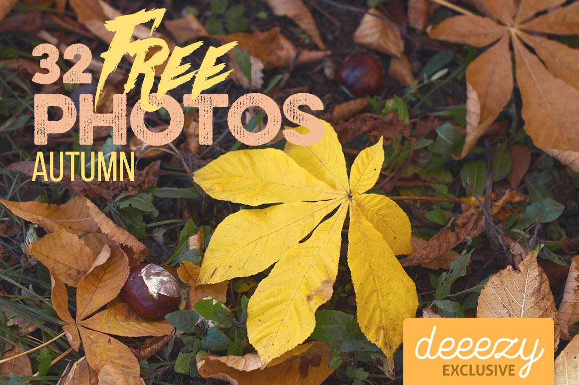 32 Autumn Photos