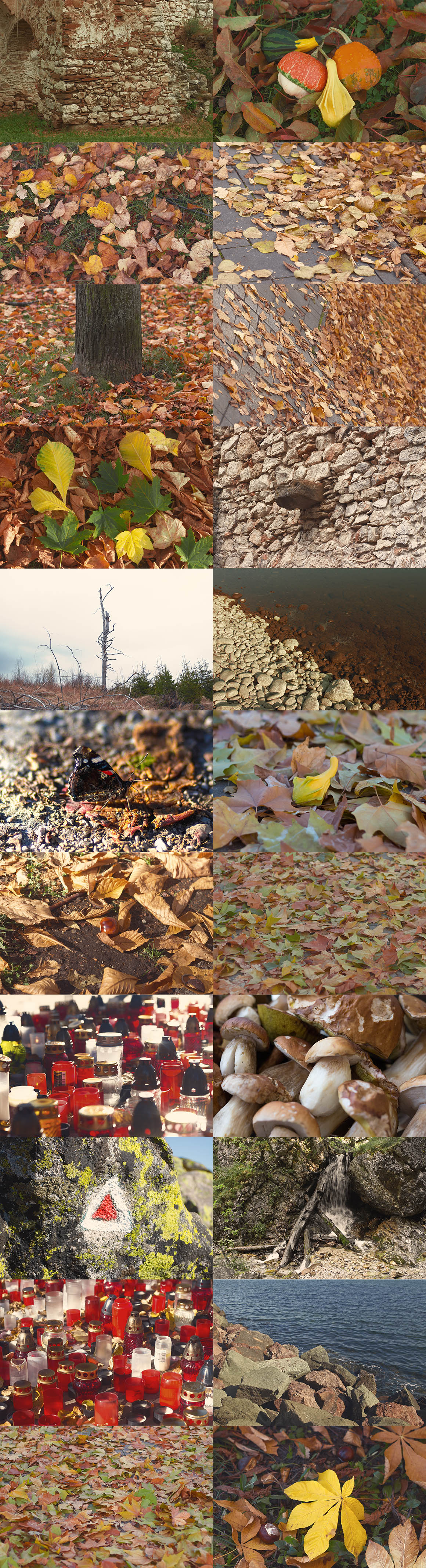 32 Autumn Photos