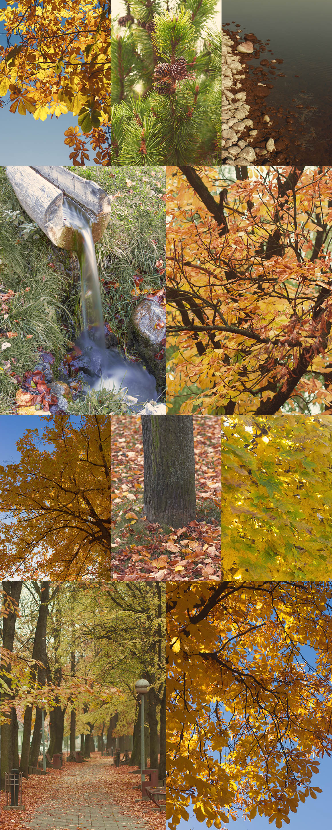 32 Autumn Photos