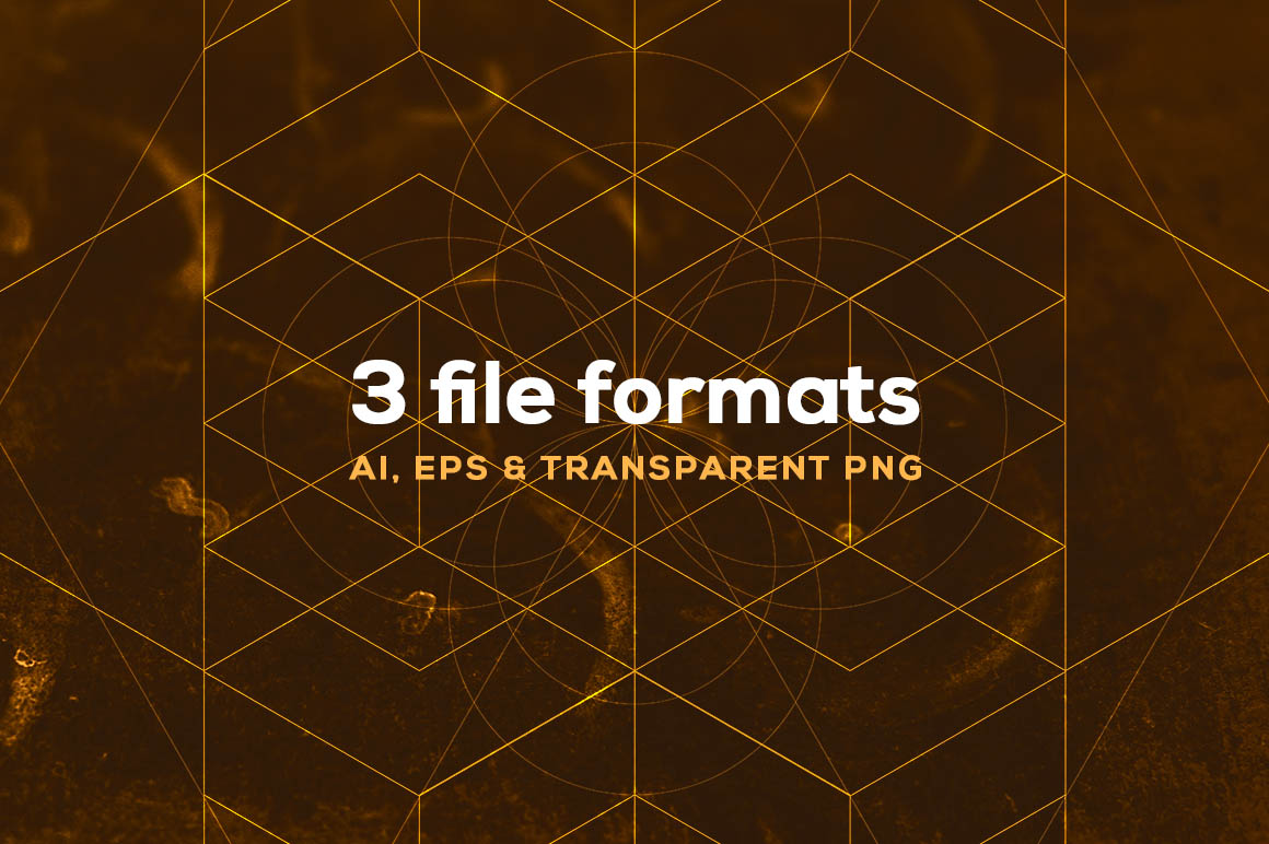6 Sacred Geometry Vectors 2