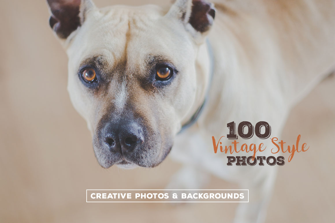 Vintage Style Photos 2