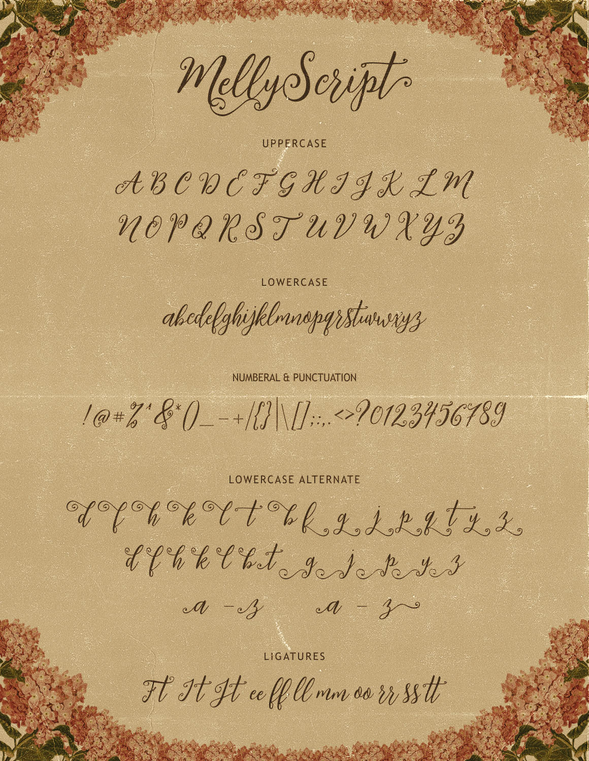 Melly Script Font Duo