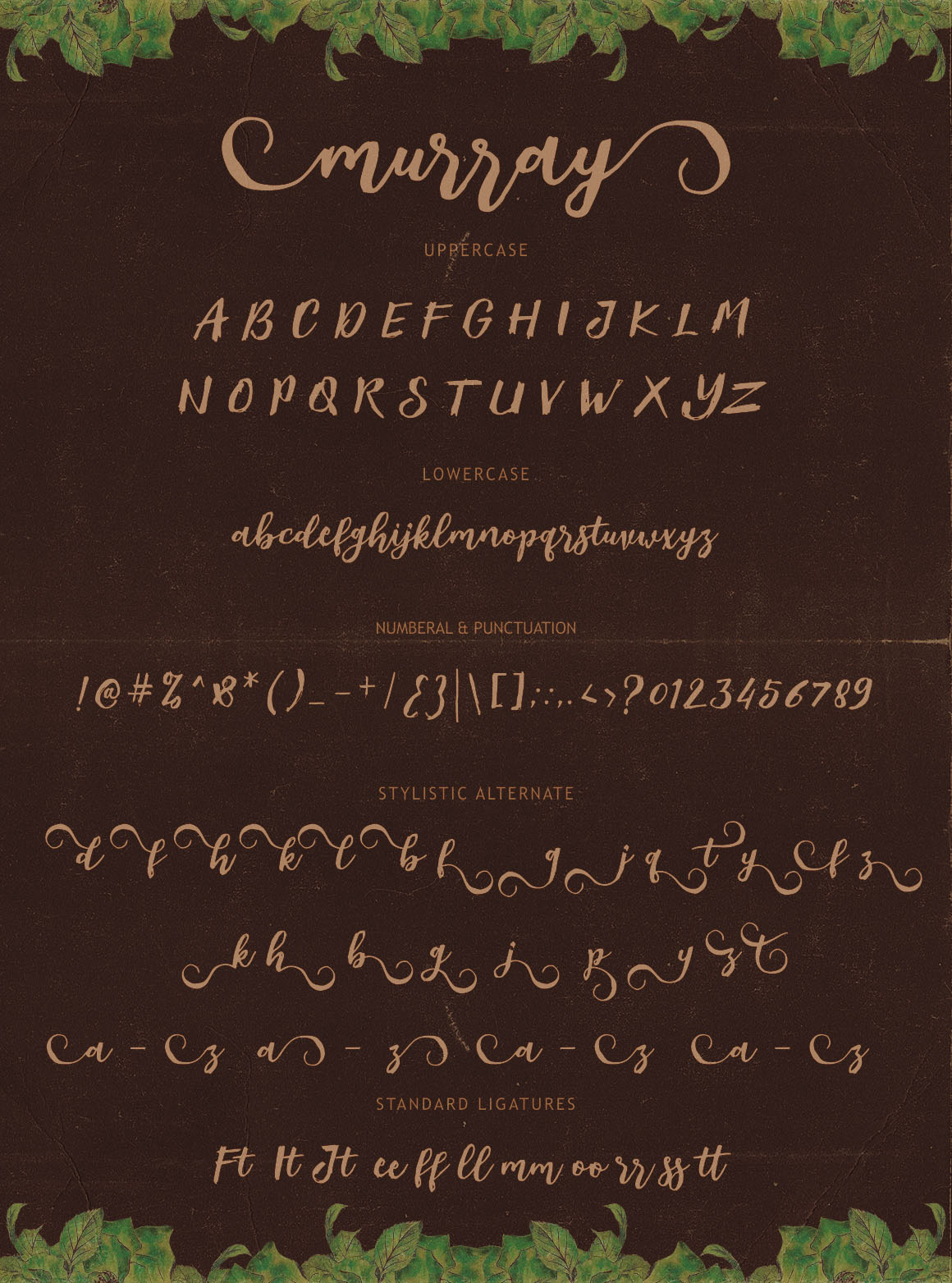 Murray Script Font Duo