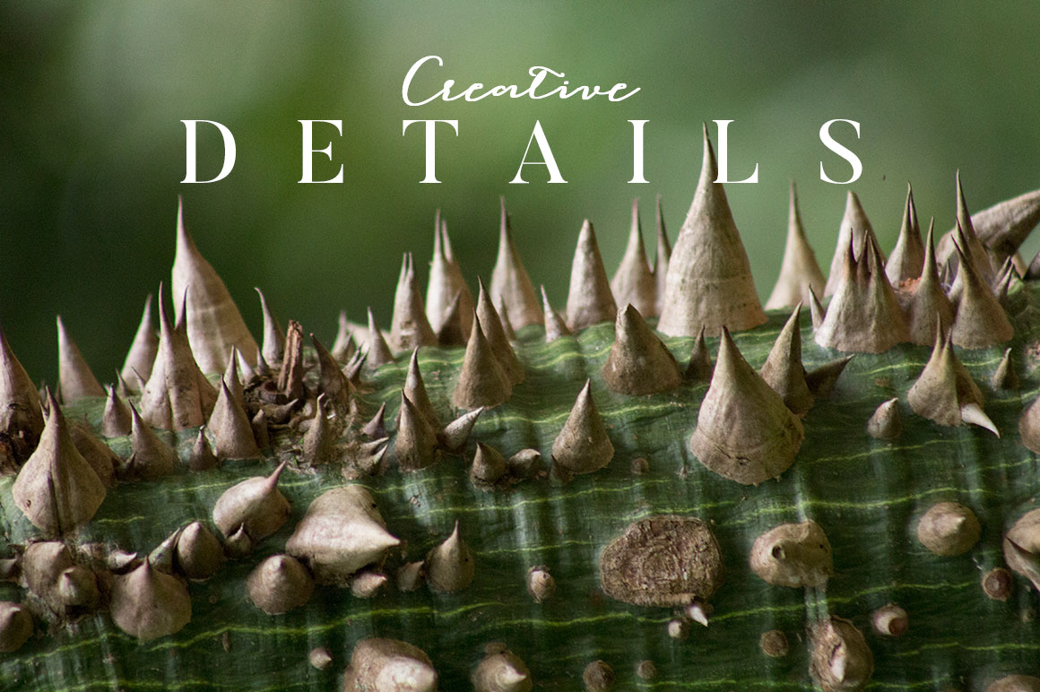 Creative Photos - Brasil