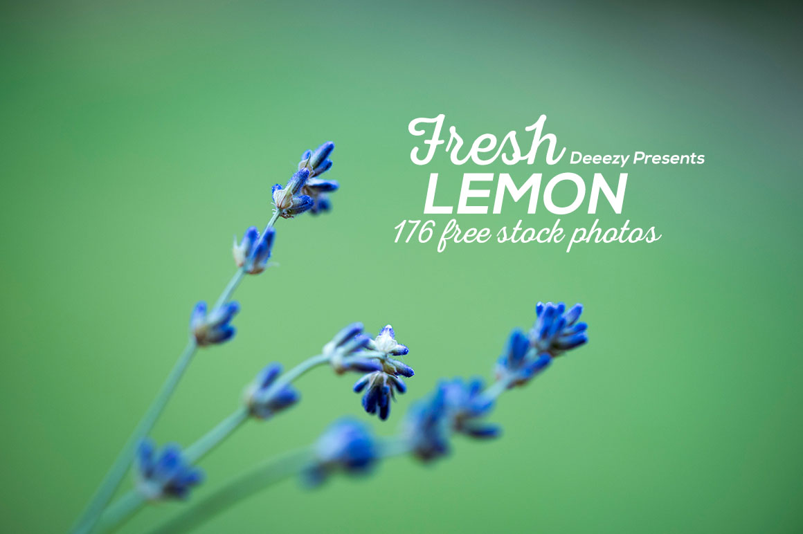 Fresh Lemon Free Photos