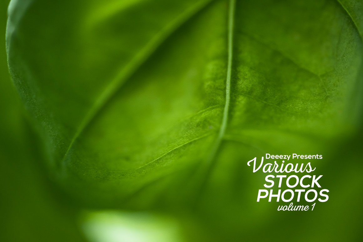 Various Free Stock Photos 1
