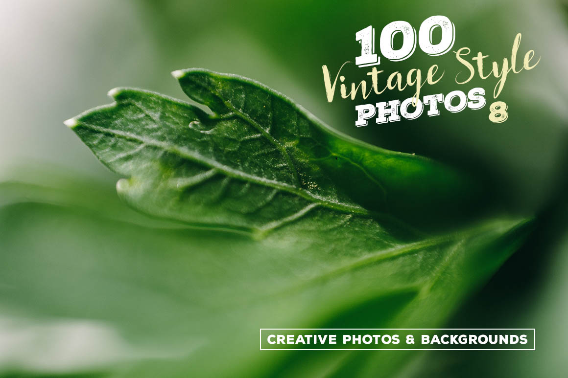 Vintage Style Photos 5