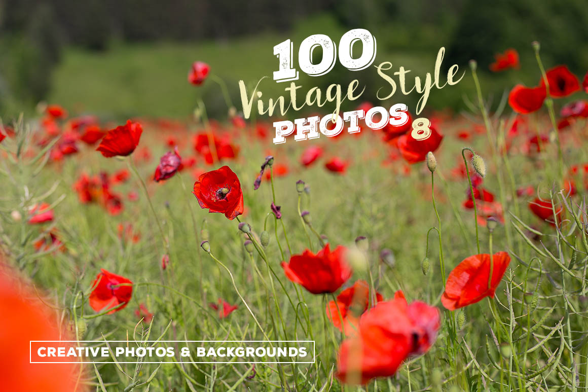 Vintage Style Photos 5