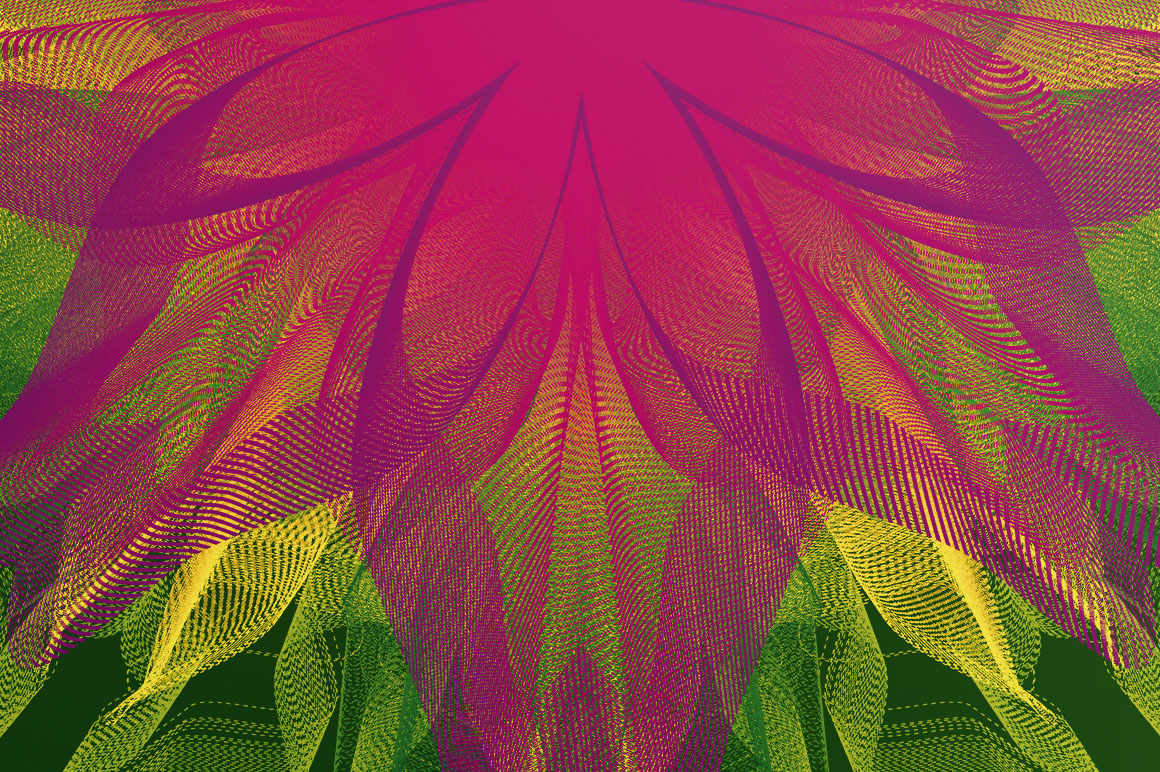 6 Free Vector Flowers