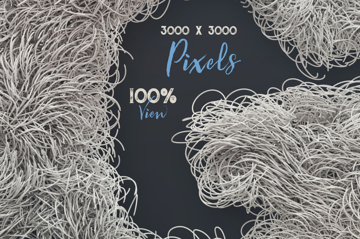 Bold & Furry – 3D Lettering