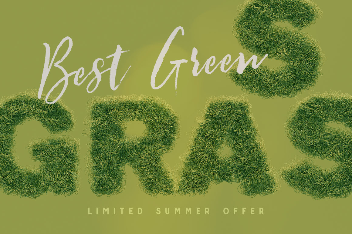 Bold & Furry – 3D Lettering