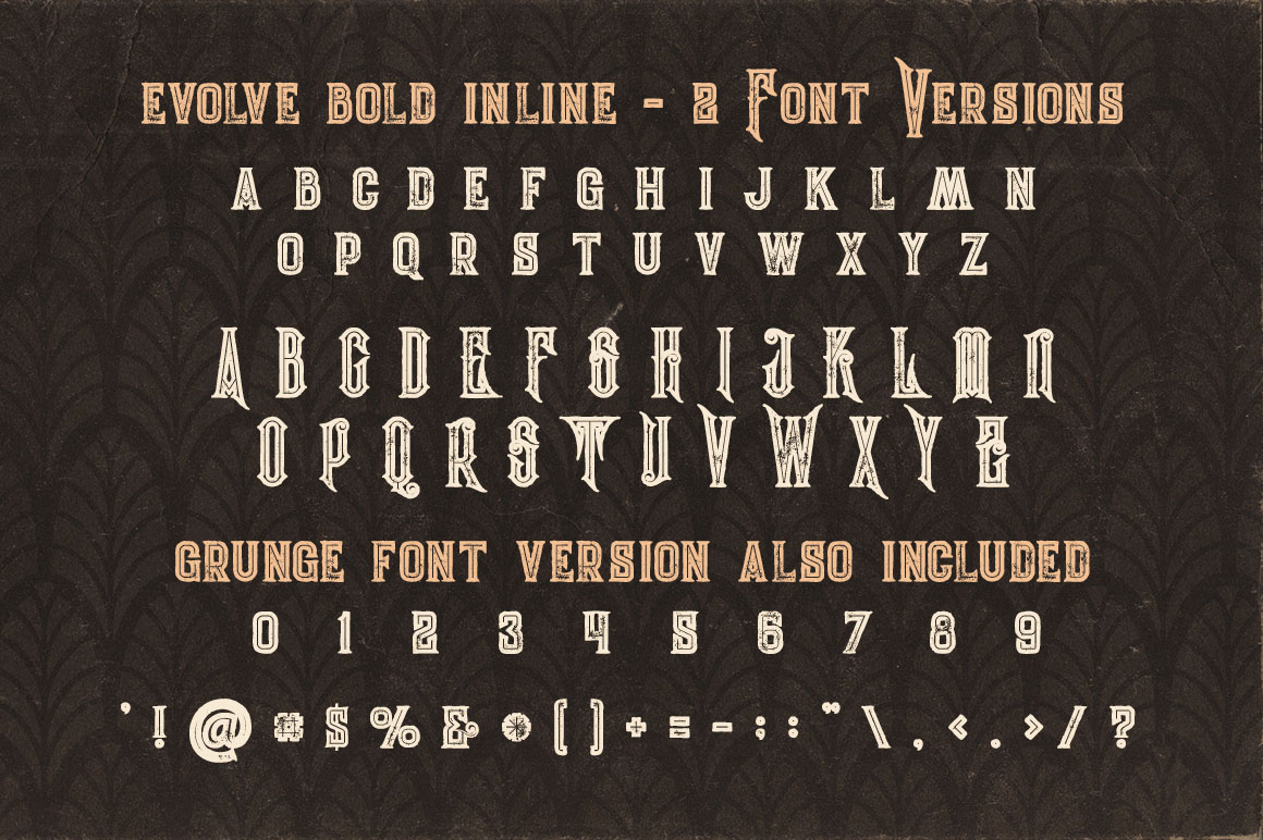 5 Fonts Bundle 3