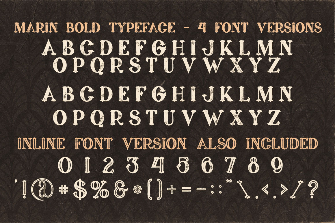 5 Fonts Bundle 4