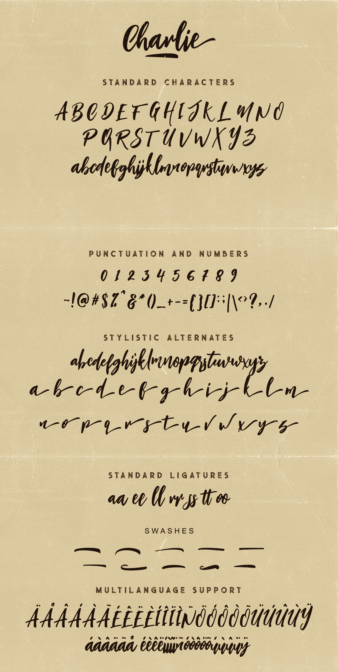Charlie Script Font