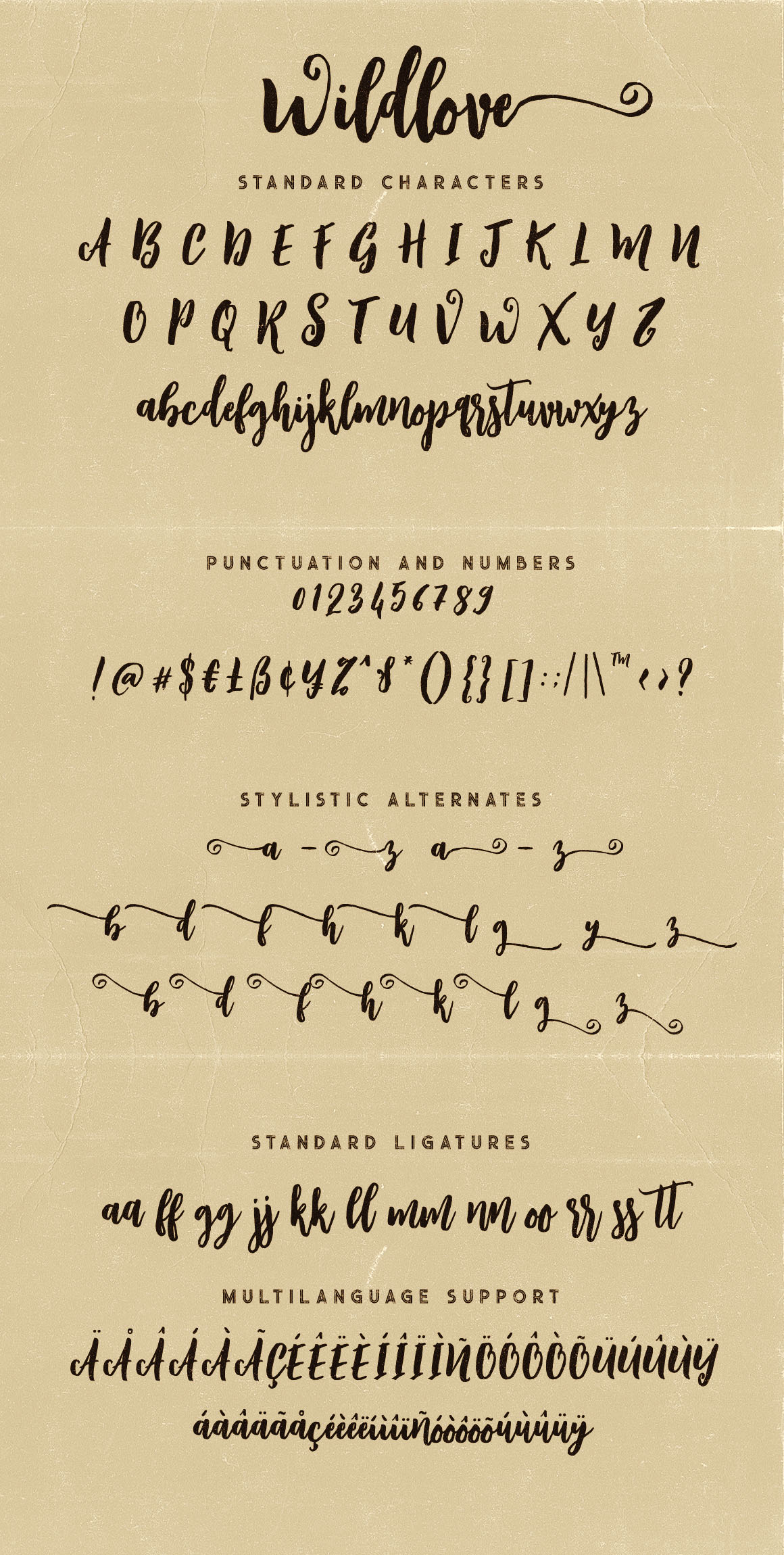 Wildlove Script Font