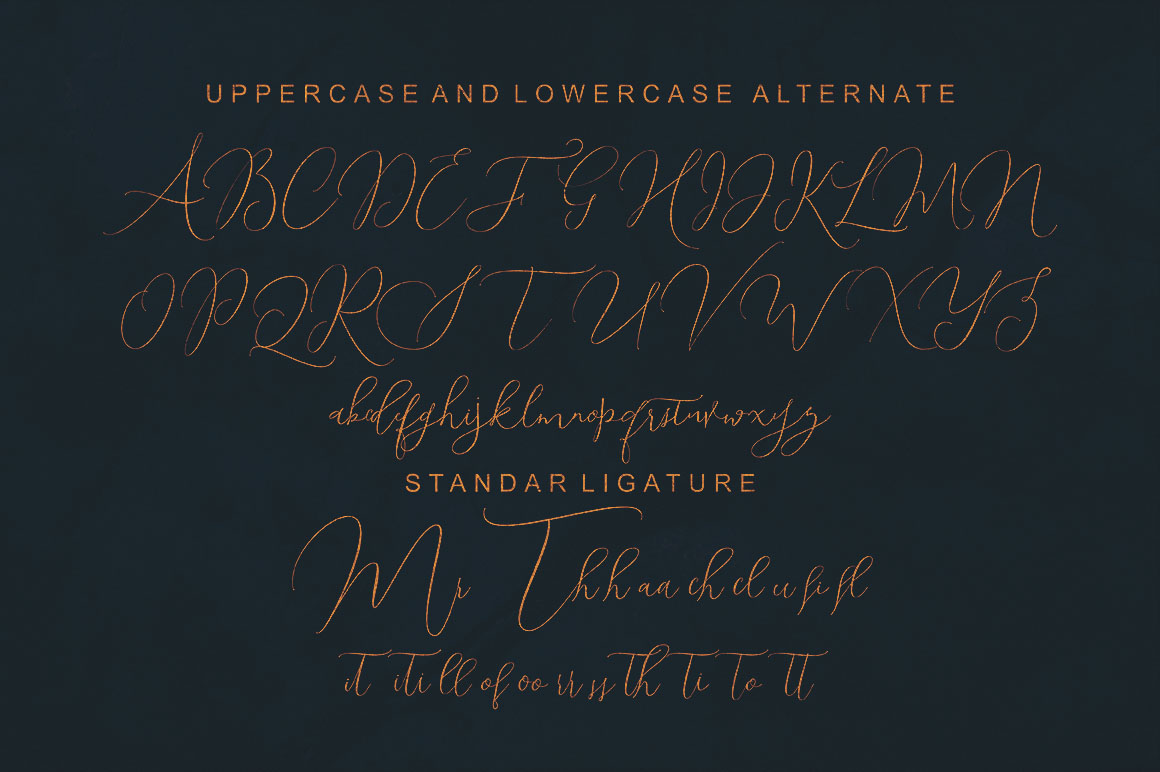 Shailene Script Font